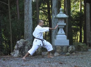 treinamento de taisabaki pinto san karate shotokan