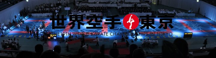 Mundial Tokyo 2008
