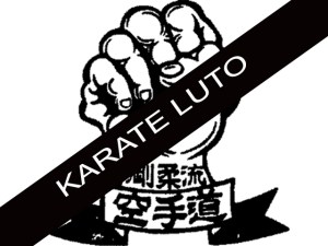 Acidente com a elegação da Associação Balsanovense de Karatê Goju Ryu Acidente com a elegação da Associação Balsanovense de Karatê Goju Ryu