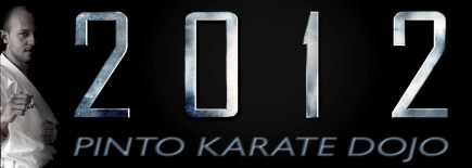 FELIZ ANO NOVO! Feliz ano novo do blog pinto karate dojo
