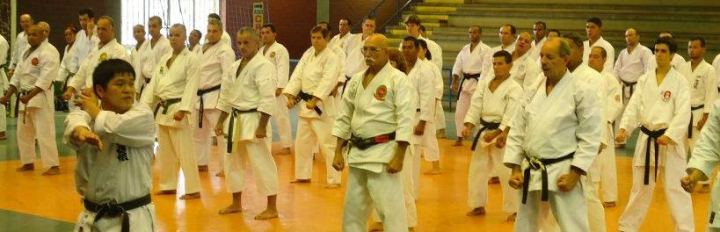 Treinamento de Kata com Murakami sensei Treinamento de Kata com Murakami sensei