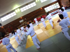 SHINJIGENKAN INSTITUTE