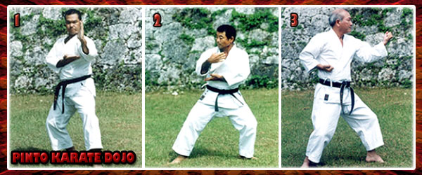 Pina Kata