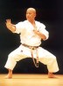 Sakamoto sensei