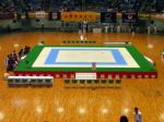 Revestimento de EVA usado no Mundial JKA