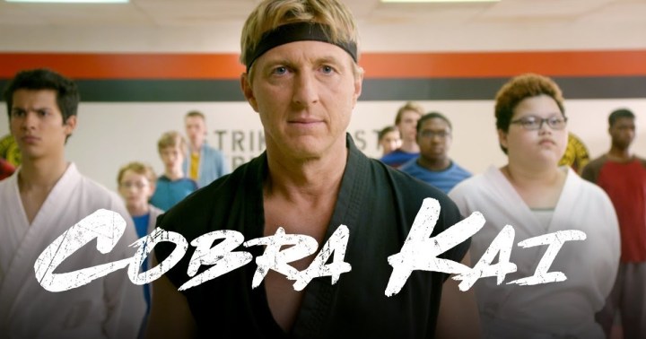cobra-kai-sensei-johnny.jpg