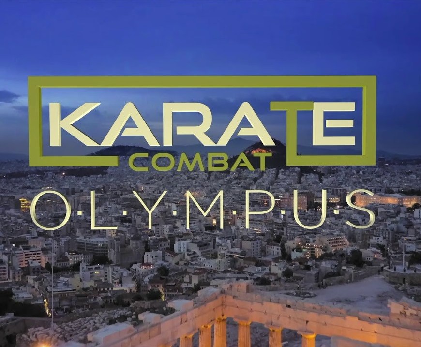 Karate combat