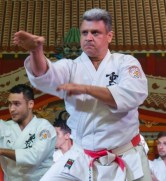 Flávio Vicente sensei