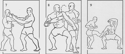 Bunkai do Kata Seienchin - fonte: www.rincondeldo.com